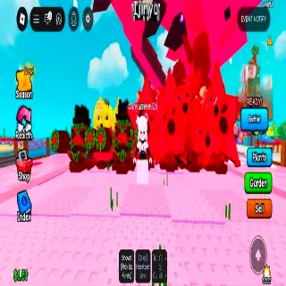 Kiwi Cannoneer, Brussel Sprout, Starfuit And King Limone 7x Ruby Secret Plants Any Kg