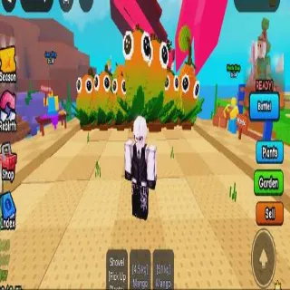 MANGO 7X BUNDLE PACK 4.5kg - 7.9kg