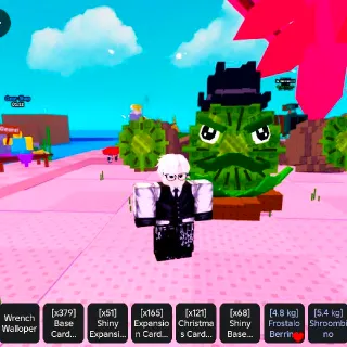 Kiwi Cannoneer 5kg Up