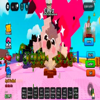 Starfruit 20x 3.7-5.7kg