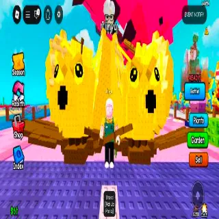 King limone 10x Gold mutation With Mix Other Mutations (Gold-scorched) 1.9kg-5.9kg