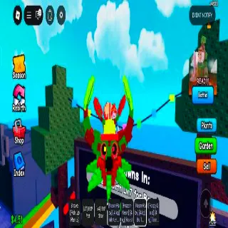 BUFF SPINACCIO (NEON+RUBY) MUTATION 4KG