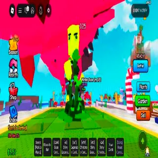 Winter Rose limited Seed 7kg And 1m Dps