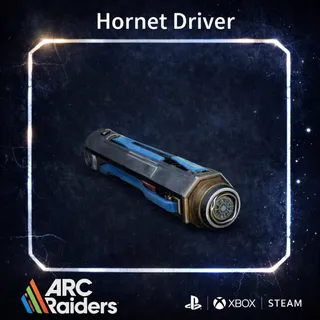 Hornet Driver*5 ARC Raiders | Most Affordable Price | Fast & Safe Delivery| 24/7 Support