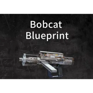 Arc Raiders-Bobcat  Blueprint-Same-day express delivery