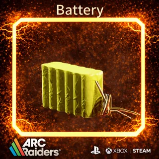Battery*60 ARC Raiders | Most Affordable Price | Fast & Safe Delivery| 24/7 Support