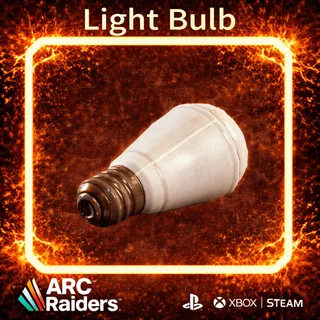 Light Bulb*4  ARC Raiders | Most Affordable Price | Fast & Safe Delivery| 24/7 Support