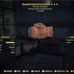 Weapon | BSS+1S Boxing Glove