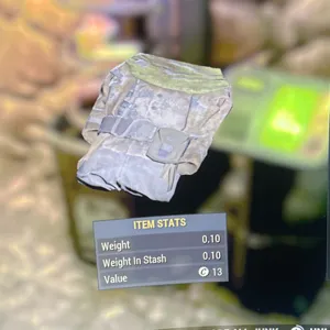 Traveling Leather Coat