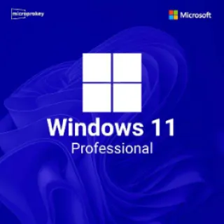 Windows 11 Pro