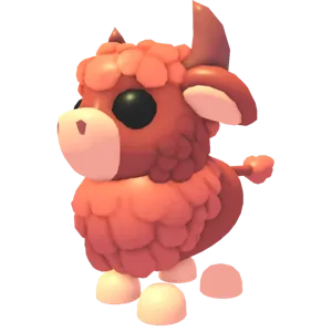 Angus bull