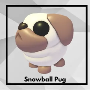 snowball pug