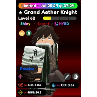 Shiny Grand aether Knight