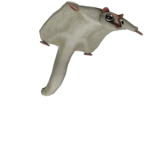 Flying Squirrel - Limited
