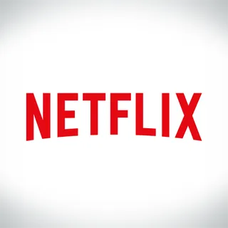 NETFLIX USA 30$  ( STOCKABLE )
