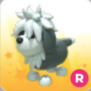 English SheepDog R