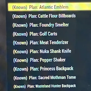 RARE PLAN BUNDLE