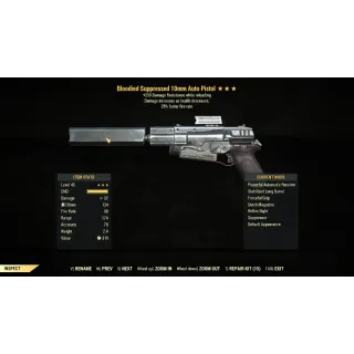 Weapon | B/25/250  10mm  Pistol