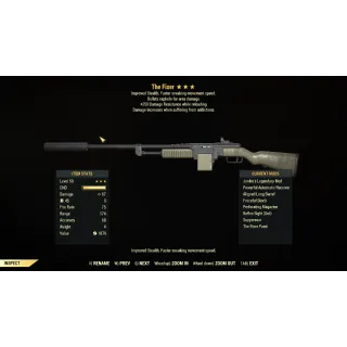 Weapon | J/exp/250 The Fixer