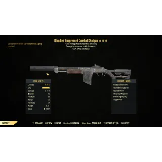 Weapon | B  Combat Shotgun 33/250