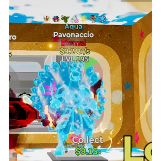 Aqua Pavonaccio Steal The Brainrot