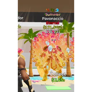 Summer Pavonaccio Steal The Brainrot 