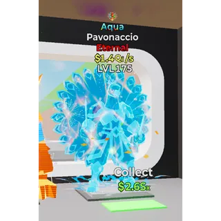 Aqua Pavonaccio Steal The Brainrot 1.4Qi