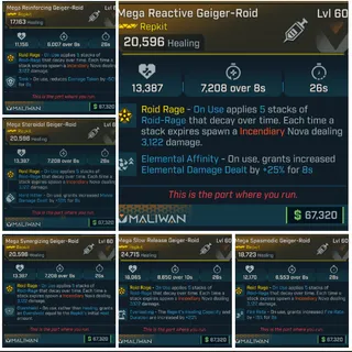 Borderlands 4: Geiger-Roid | BL4 | Borderlands choose one