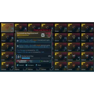 Borderlands 4: All (Assault) Excruciating Enhancements level 60 or any level