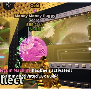 Money money puggy