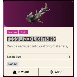 1x Fossilized Lightning