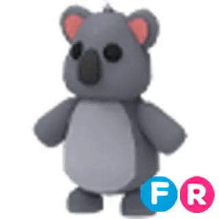 FR Koala