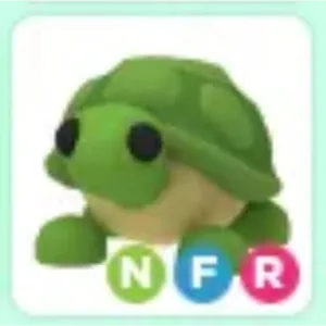 Turtle NFR