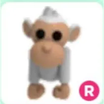 R Albino Monkey