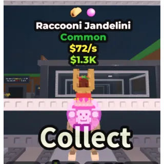 Raccooni Jandelini