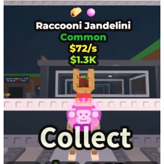 Raccooni Jandelini