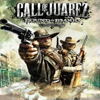 Call of Juarez: Bound In Blood Steam Key Global