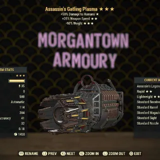 Weapon | Assassin 25/RW Gatling P