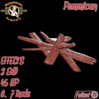 Aid | 50 Pemmican