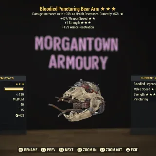 Weapon | Bloodied SS/S Bear Arm