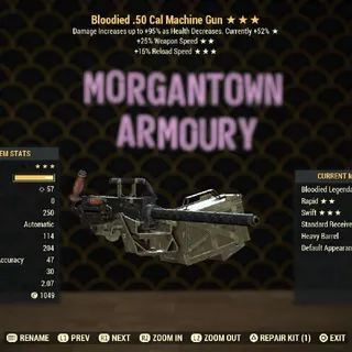 Weapon | Bloodied 25/FR .50 Cal