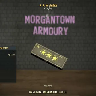 Other | Agility Mod 3⭐