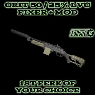 Weapon | C50 / LVC Fixer + Mod