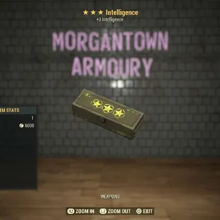 Other | intelligence Mod 3⭐