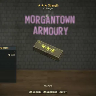 Other | Strength Mod 3⭐