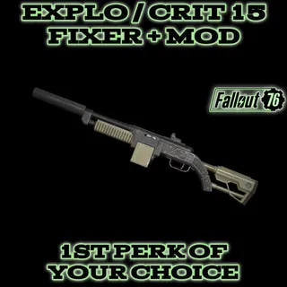 Weapon | Explo/C15 Fixer + Mod
