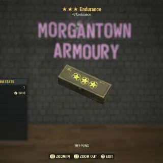 Other | Endurance Mod 3⭐