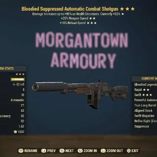 Weapon | Bloodied 25/FR Combat SG