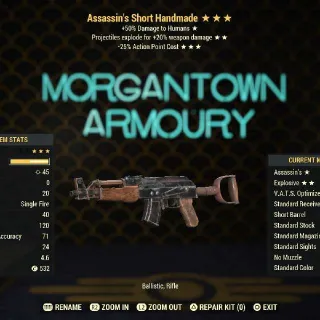 Weapon | Assassins E/25 Handmade