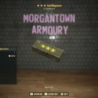 Other | intelligence Mod 3⭐